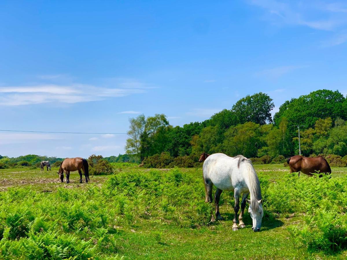Forest Haven Sway Eksteriør bilde