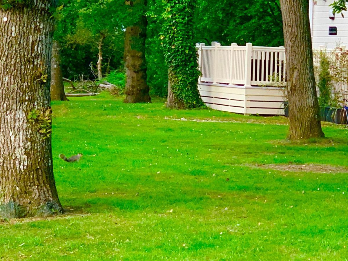 Forest Haven Sway Eksteriør bilde