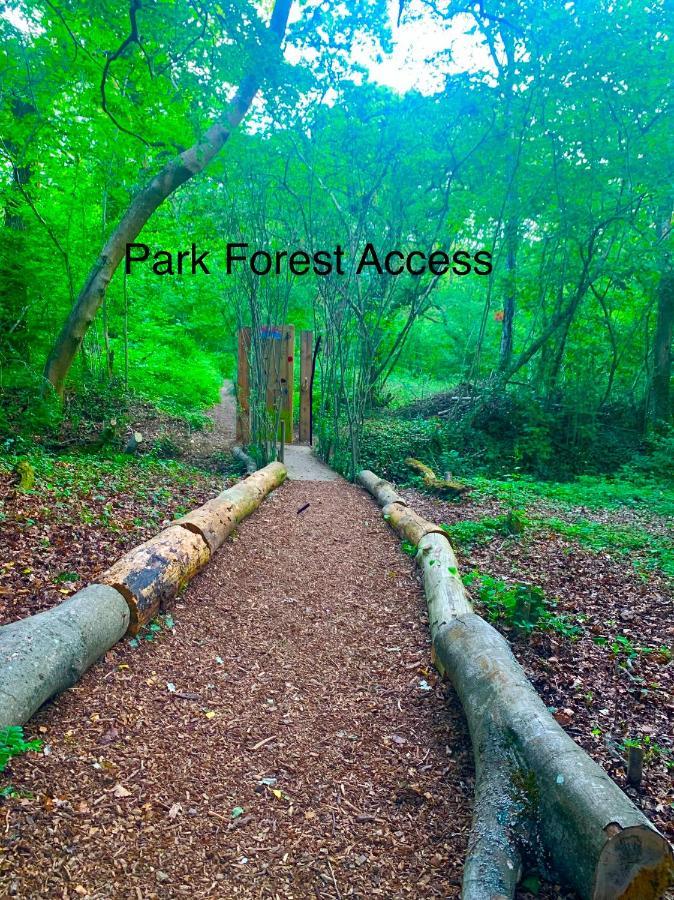 Forest Haven Sway Eksteriør bilde